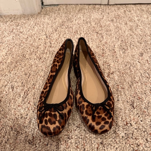 Ann Taylor leopard flats - Picture 1 of 5